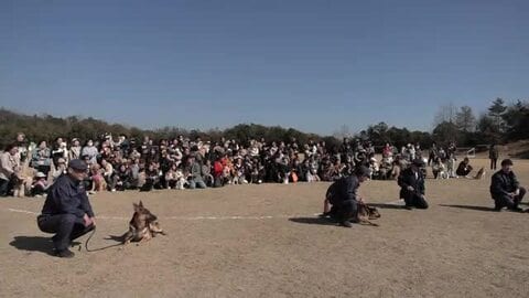 「ワンワンパトロール隊」が初の交流会　散歩しながら地域の安全見守る”犬のおまわりさん”　広島