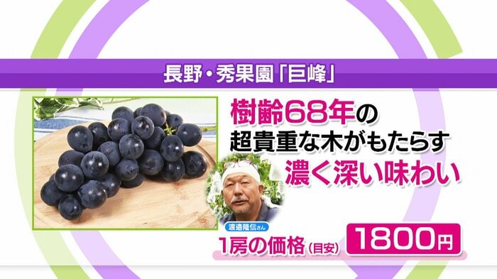 長野・秀果園「巨峰」1房の価格(目安)1800円