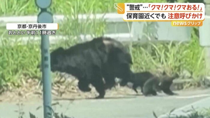急ぎ足で走り去る親子グマ（FNN投稿サイト「ビデオポスト」）