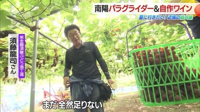 カゴいっぱいに収穫しても足りず、ボトル1本分にはブドウ約2キロが必要だそう