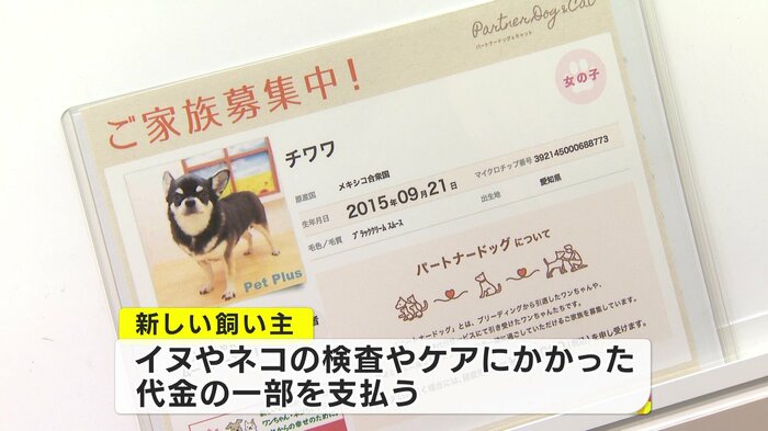 犬や猫に値段はつかない
