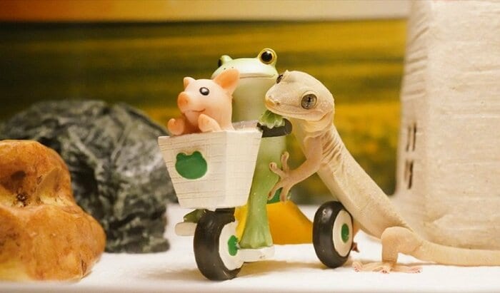 自転車を後ろから押してあげている?