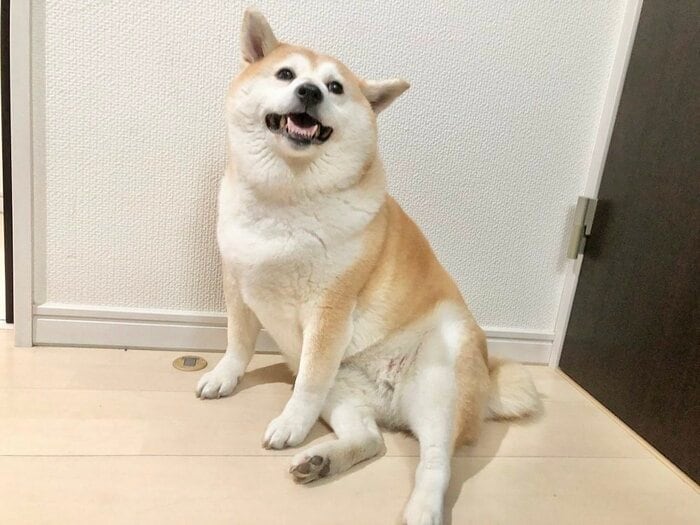 甘えん坊だというゆずちゃん