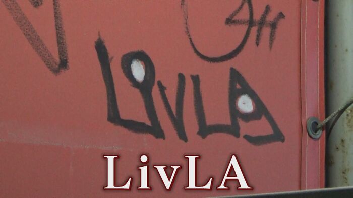 福岡の街なかでよく見かける落書き「LivLA」