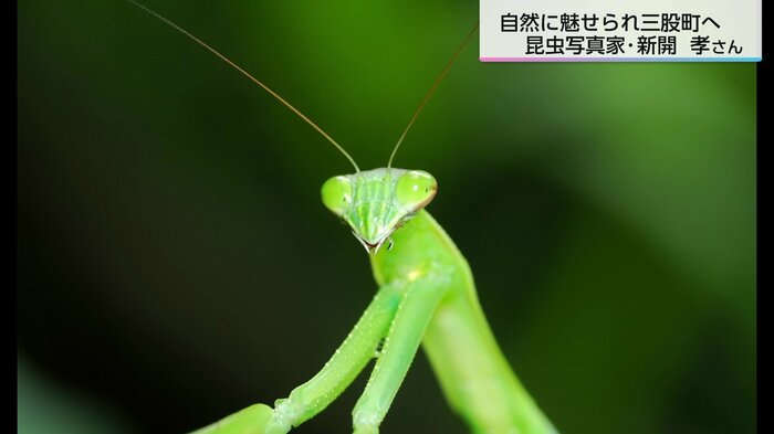 カマキリの顔のどアップをパシャリ