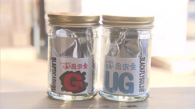 「究極の昆虫食」GとUG