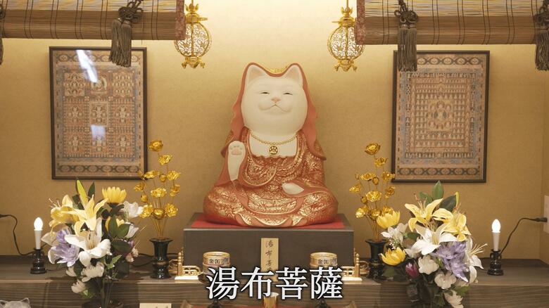 どこを見てもネコ「猫寺院ミュージアム」約２mの猫大仏も・湯布院の新名所２選｜FNNプライムオンライン