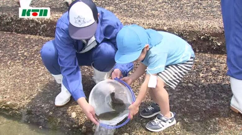 水産高校の生徒と保育園児がヒラメの稚魚100匹を放流　資源回復と海の環境を学ぶ｜FNNプライムオンライン