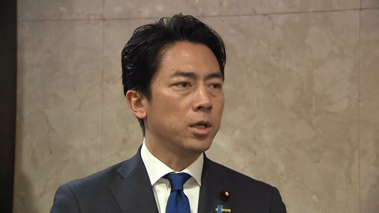 自民・小泉氏、参院選に向け「強力な物価高対策」　トランプ政権の関税など受け｜FNNプライムオンライン