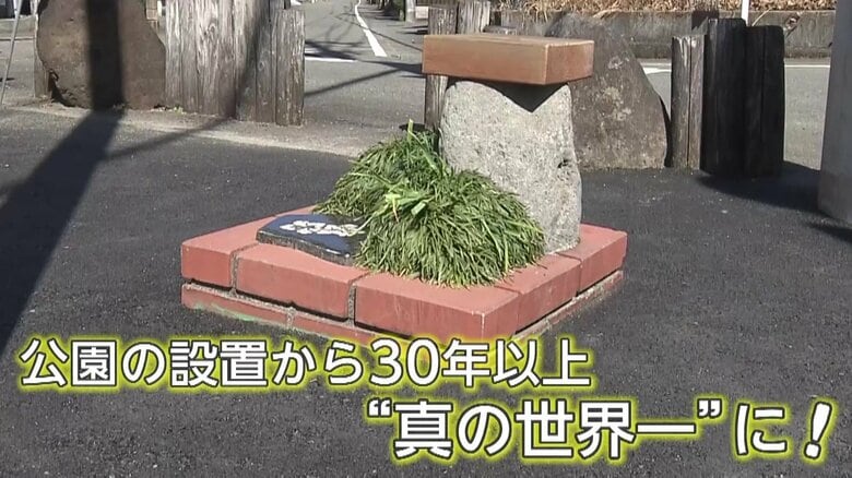 【歓喜】「最高に嬉しい」公園設置から30年…ついに“自称”脱却！約50センチ「世界一小さな公園」ギネス世界記録に　静岡・長泉町は大盛り上がり｜FNNプライムオンライン