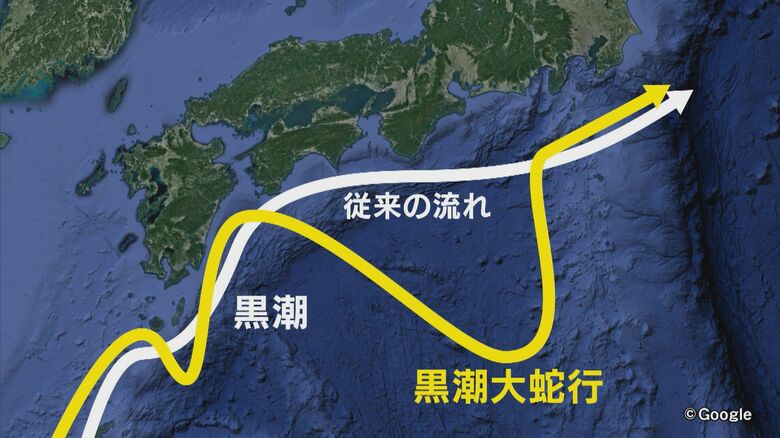 長年の不漁に明るい兆しか…漁師たちを悩ませてきた『黒潮大蛇行』に終息の兆候 海水温や気候などの見通しは｜FNNプライムオンライン