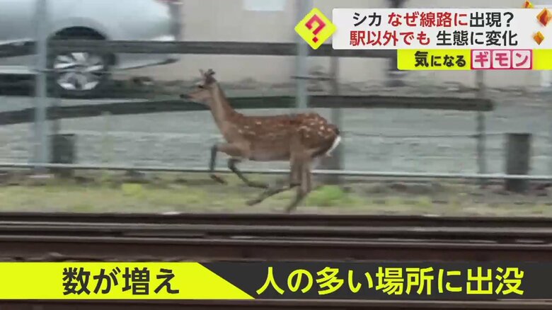 (FNN投稿サイト「ビデオPost」)