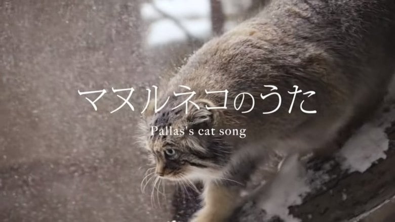 出典:那須どうぶつ王国公式YouTube