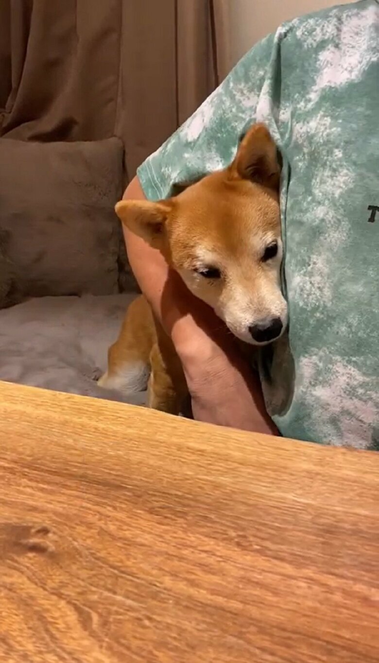 頭をスルリと入れてきた！