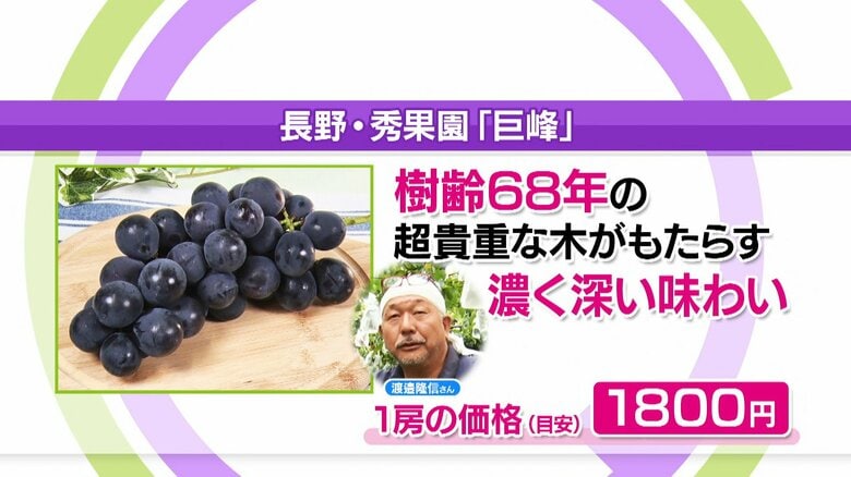 長野・秀果園「巨峰」1房の価格（目安）1800円