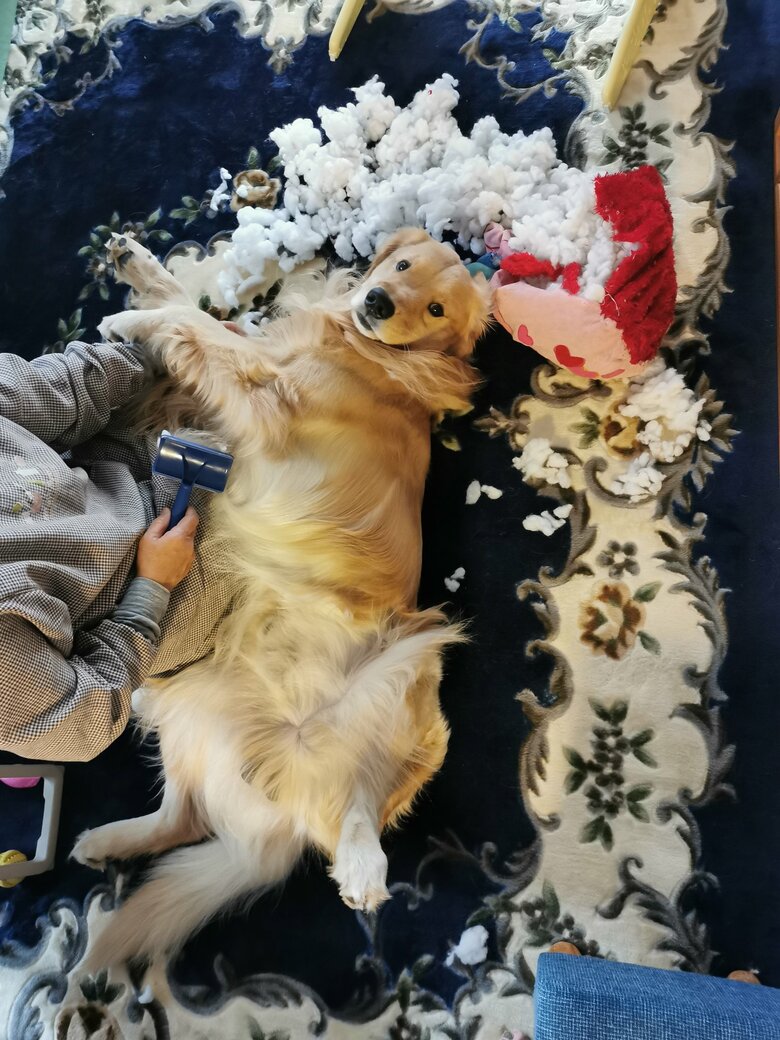 提供：ふぉるてさん