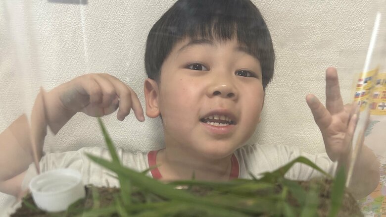 情報提供時の写真