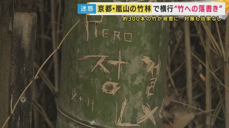 アルファベットやハングル、カタカナに数字などさまざまな文字で落書き