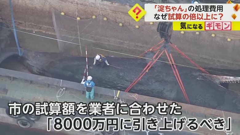 クレーンで「淀ちゃん」の死骸が引き揚げられている