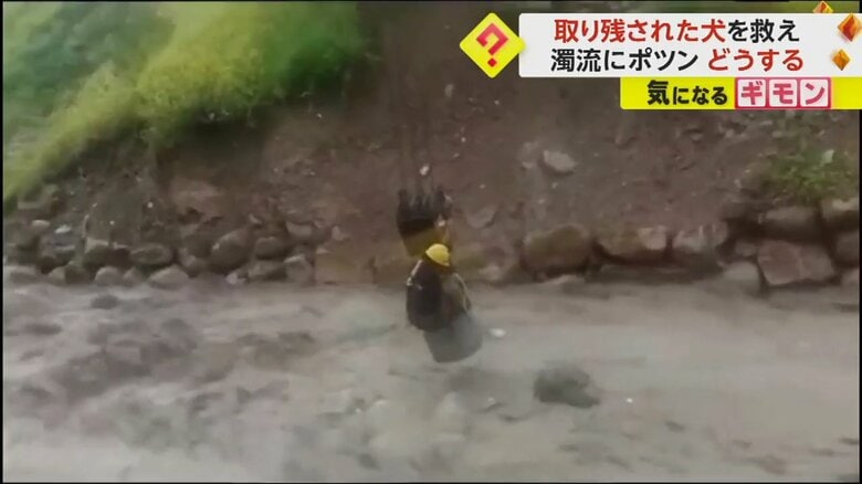 建設作業員がなんとかイヌを抱きかかえた様子