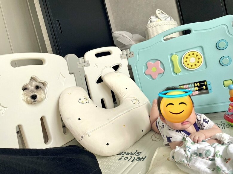 カメラに気が付いた？（提供：こんぶさん）