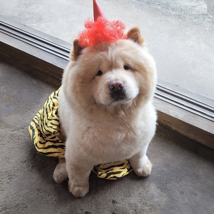 節分のくり蔵くん