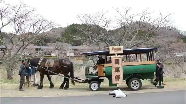 観光遊覧馬車