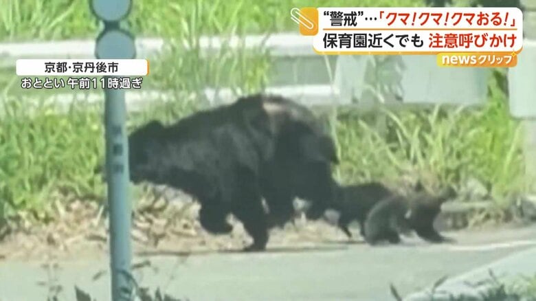 急ぎ足で走り去る親子グマ（FNN投稿サイト「ビデオポスト」）