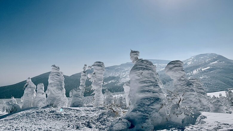 観光資源となっている蔵王の樹氷（2021年撮影）
