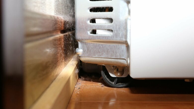 冷蔵庫の裏はゴキブリが好む場所の一つ