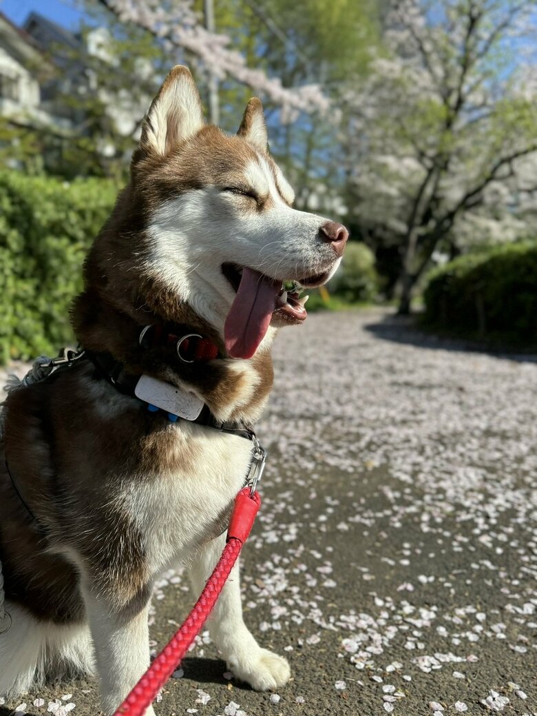 気持ちいいなぁ