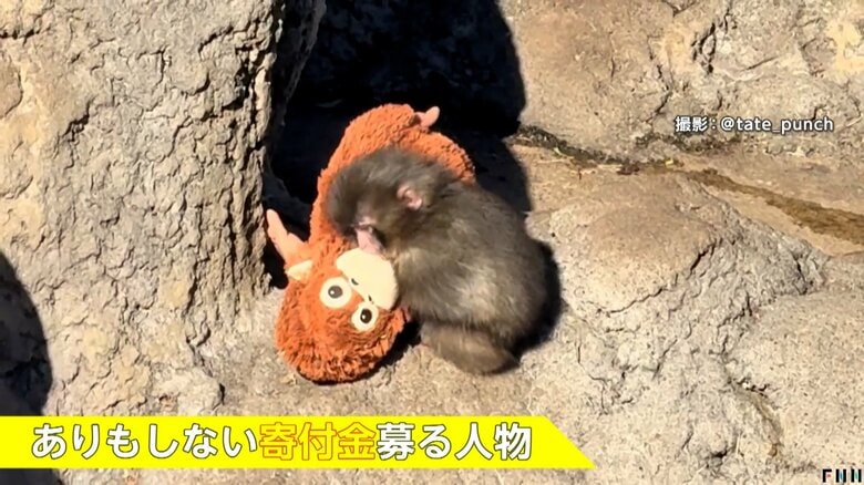 問題となっている飼育員をかたったSNSの偽アカウントによる寄付金詐欺