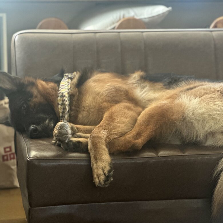 ソファでゴロリ