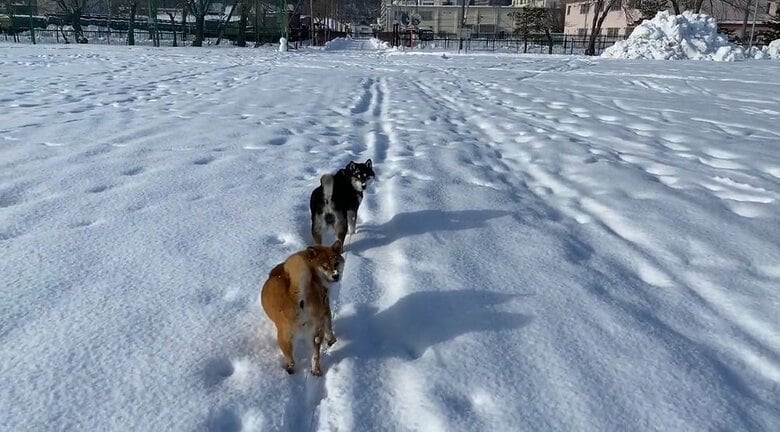 シンクロ振り返り