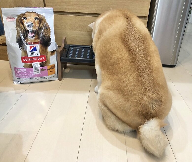 食事中の後ろ姿