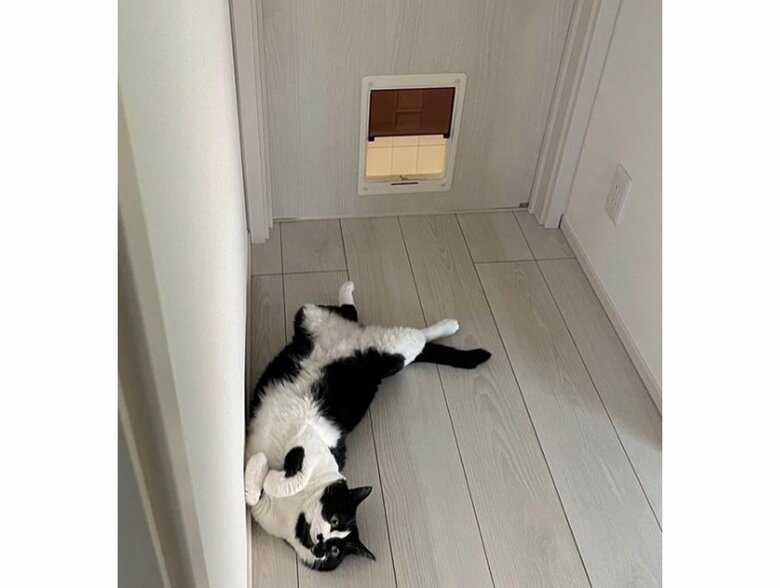 提供：卵山玉子先生