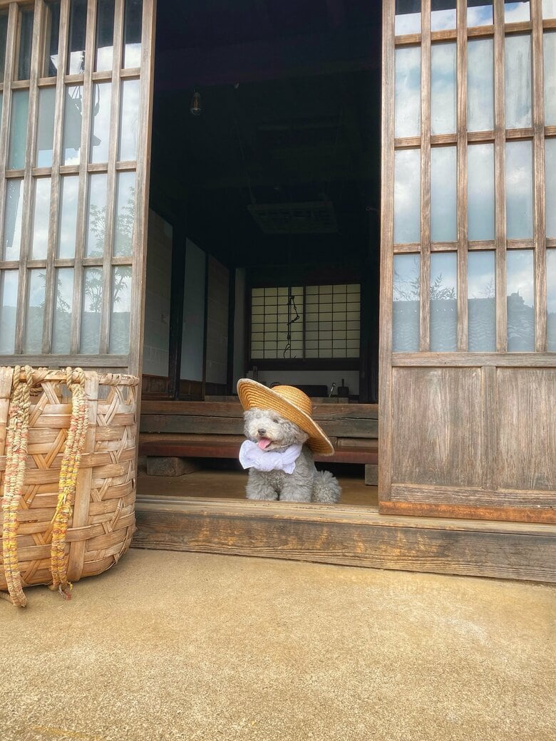 提供：レノン&れあるさん