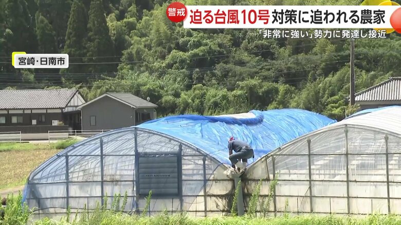 強風でハウスが壊れてしまわないようネットを張る農業ハウス