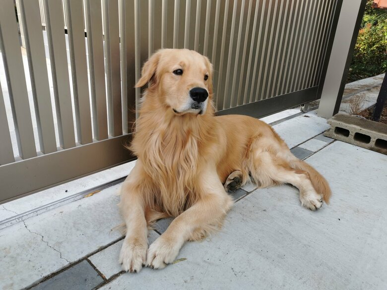 提供：ふぉるてさん