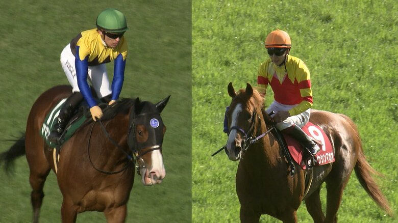 ママコチャ＆トウシンマカオ