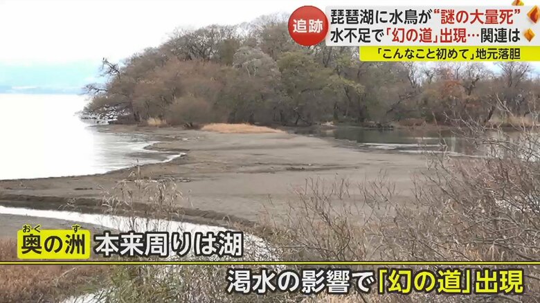 （滋賀・長浜市）