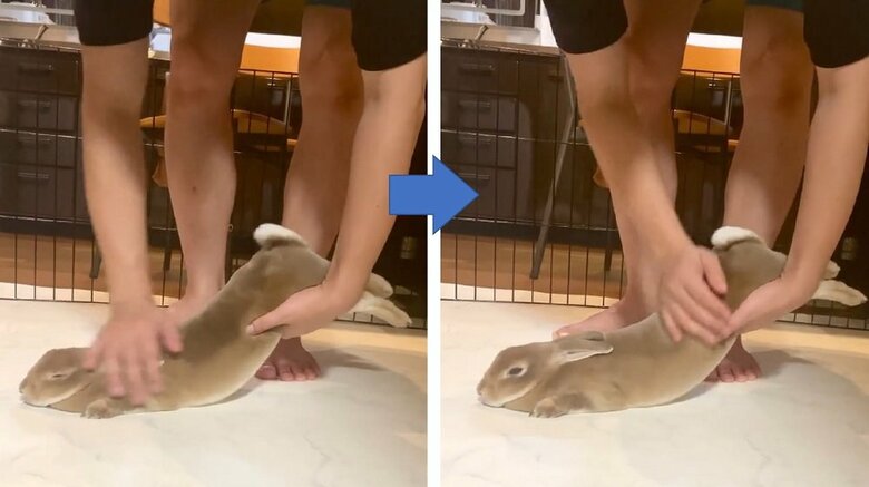 テンテンちゃんは、ずっとされるがままだった