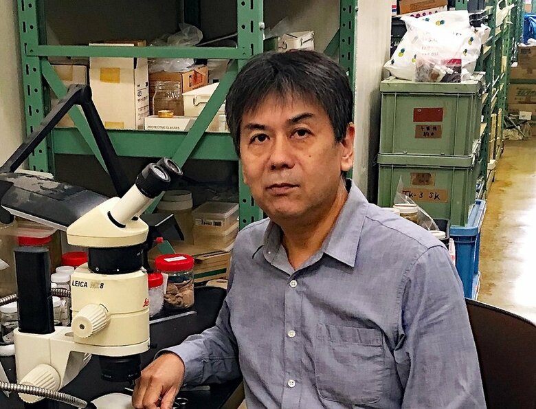 千葉県立中央博物館・動物学研究科長の駒井智幸さん（提供：サンシャイン水族館）