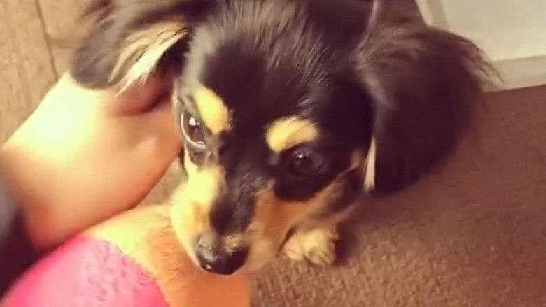 小さい頃からボール遊びが好き