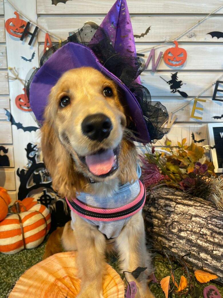 提供：関口和也さん