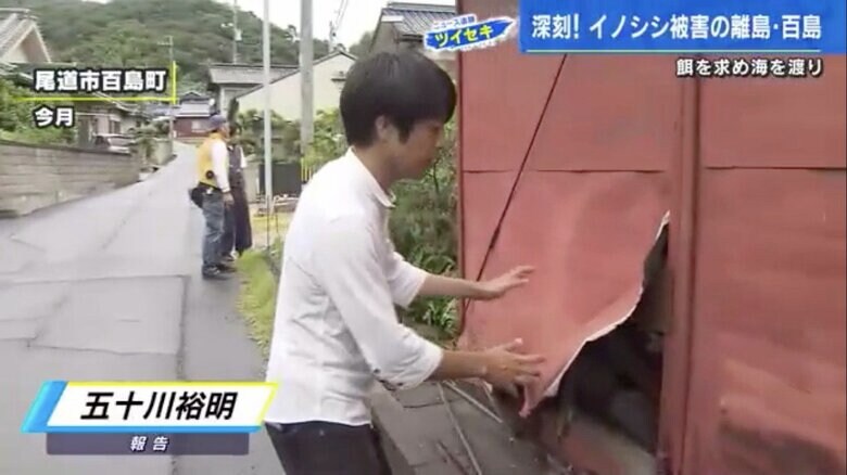 8月、取材当日の朝にイノシシの被害にあった倉庫