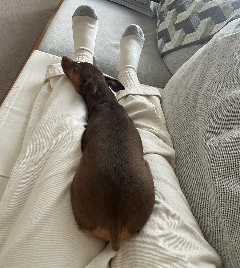 足の上でまったり中