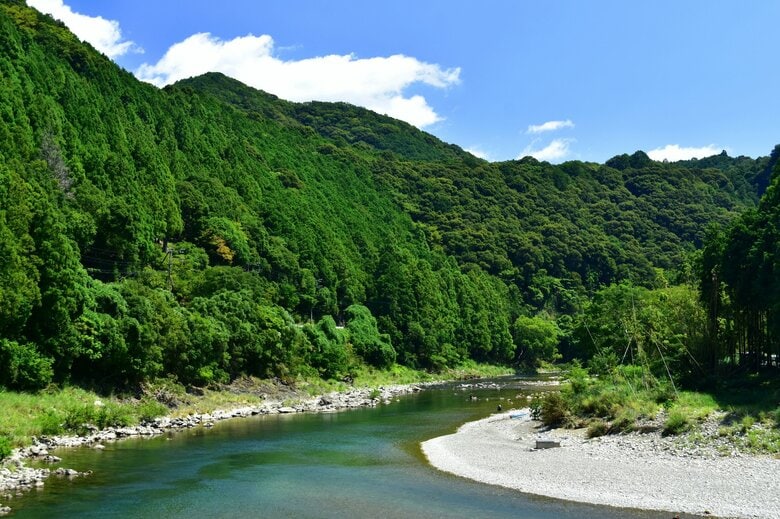 ニホンウナギはマリアナ諸島西方海域から旅をして河川で成育する（画像はイメージ）