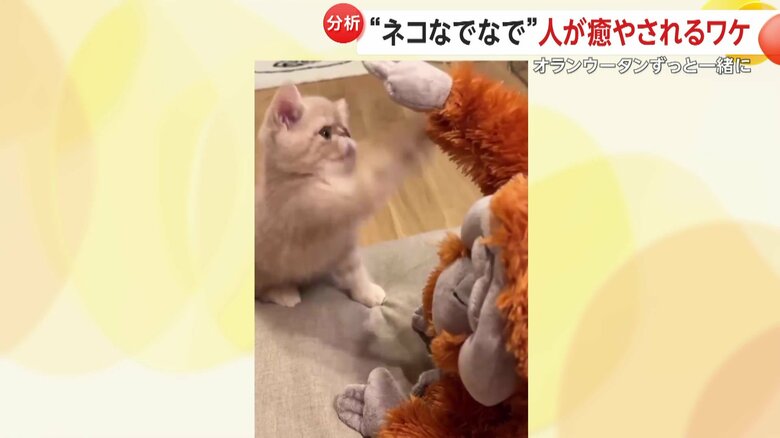 ハイタッチするこまるくん