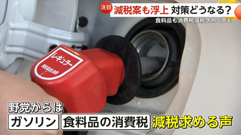ガソリン税の減税や、食料品の消費税減税を求める声も上がっている野党